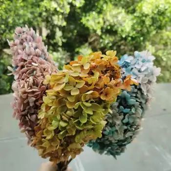 15-20cm ziedu Galvas,Konservēti Nekustamā Hydrangea ar kātiņu,Gradientu, Krāsu Līmēšana displejs ziedi Kāzu puse, Mājas Dekoru