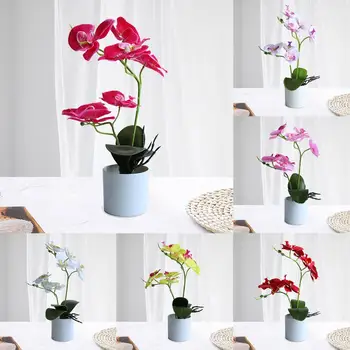 1set Phalaenopsis Simulācijas Mākslīgā Pundurkociņš Augu Puķu + Pot Dekoratīvu Ziedu Set Home (sākuma Tabula Guļamistaba Dekorēšana