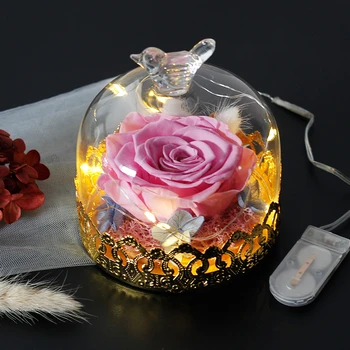 Jauns Zvērs un Skaistumu Rožu Ziedi Stikla Kupola Ziemassvētku Festivāls DIY Lēti Mājas, Kāzu Dekorēšana, Valentīna Diena Dāvanas
