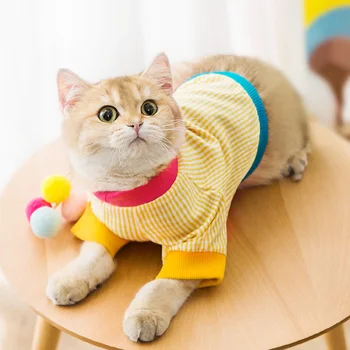 Pavasarī un vasarā jaunu pet divkājainas drēbes pleds hit krāsu T-krekls pavasara kaķu apģērbu mazs suns kaķēns kaķis drēbes