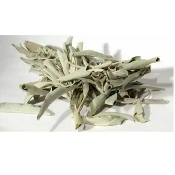 Salvijas Lapu – Salvia Officinalis Dabas Kaltētas Tējas Uzlējumu, 50 Gr-400 Gr, Bezmaksas Piegāde Bezmaksas Piegāde