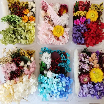 Samaisa Žāvētu Ziedu Materiālu Pakete Brīvdienu Aktivitātes Ziedu Produkti DIY Izkaisīti Konservēti Svaigu Ziedu Žāvētu Ziedu Materiāls