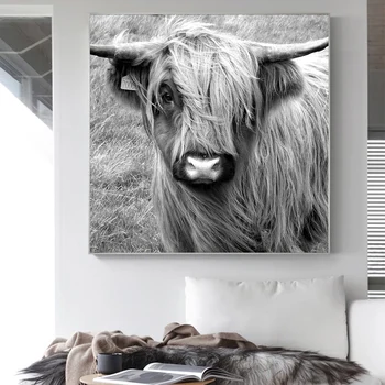 Skotijas Highland Catt Govs Jaku Dzīvnieku Plakātu Sienas Mākslas Audekls Gleznas Izdrukas, Bildes uz Audekla, lai Dzīvojamā Istaba uz Mājām Dekoratīvie