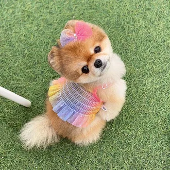 Suņu apģērbu vasaras korejas varavīksnes slīpums kamzolis ar bichon svārki varavīksnes elpojošs pet apģērbs