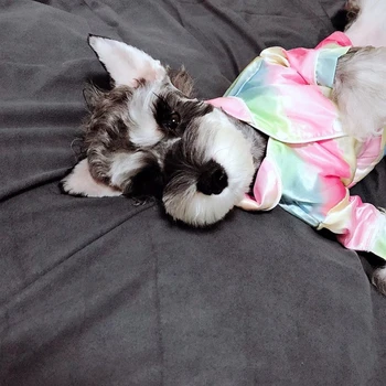 Varavīksnes Suns Pidžamā Maziem, Vidējiem Suņiem Yorkie Apģērbu Modes Suns Krekli Chihuahua Apģērbu Ropa Perro Mopsis Kostīmu A128